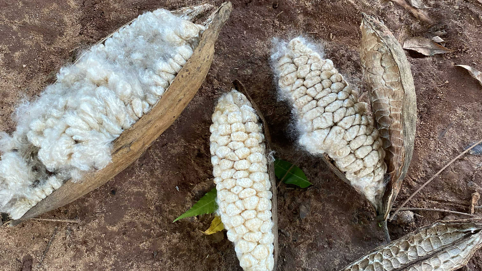 Kapok Collective natural furniture handmade in Tanzania